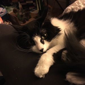 Meet your Posher, Denise